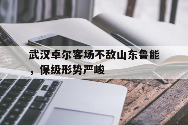 武汉卓尔客场不敌山东鲁能，保级形势严峻的简单介绍